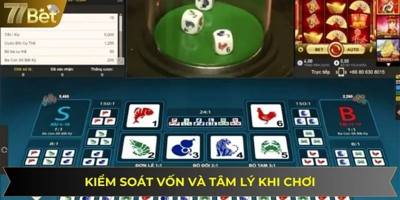 Người chơi cần kiểm soát tâm lý và vốn cược khi chơi bầu cua online