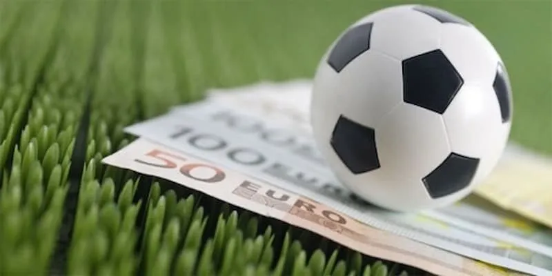 Tìm hiểu về bộ môn mà bản thân lựa chọn để có quyết định chính xác hơn